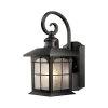Home Decorators Collection Brimfield 14.2 in. Aged Iron 1 Light Outdoor Wall Lantern with Clear Seedy Glass Shade and 220 Motion Sensing -Flora Home Decorators Soldes aged iron home decorators collection outdoor sconces hb7251ma 292 64 1000