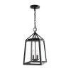 Home Decorators Collection Blakeley Transitional 2-Light Black Outdoor Pendant with Beveled Glass -Flora Home Decorators Soldes black home decorators collection outdoor pendant lights 2 39905 64 1000