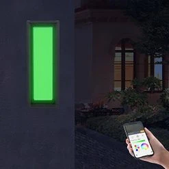 Home Decorators Collection Hubspace Modern 1-Light Black LED Outdoor Wall Lantern Sconce with Color Changing Light Output from 3000K-6000K (1-Pack) -Flora Home Decorators Soldes black home decorators collection outdoor sconces g19226 44 1000