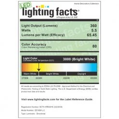 Home Decorators Collection Rodham Black LED Outdoor Wall Lantern Sconce -Flora Home Decorators Soldes black home decorators collection outdoor sconces izc1691l 2 40 1000