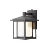 Home Decorators Collection Mauvo Canyon Collection Black Outdoor Seeded Glass Dusk to Dawn Wall Lantern Sconce