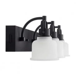 Home Decorators Collection Rockhill 22.07 in. 3-Light Black LED Vanity Light Dark LED -Flora Home Decorators Soldes black home decorators collection vanity lighting 51779 1d 1000