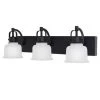 Home Decorators Collection Rockhill 22.07 in. 3-Light Black LED Vanity Light Dark LED 1 Home Decorators Collection Rockhill 22.07 in. 3-Light Black LED Vanity Light Dark LED -Flora Home Decorators Soldes black home decorators collection vanity lighting 51779 64 1000