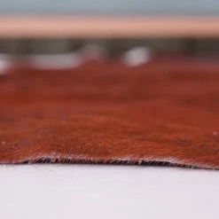 Home Decorators Collection Natural Cowhide Brown and White 5 ft. x 7 ft. Animal Shape Area Rug -Flora Home Decorators Soldes brown and white home decorators collection area rugs v301000001brwh 40 1000