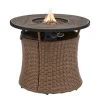 Home Decorators Collection Kettering 29.92 in. x 25 in. Round Steel Propane Gas Brown Fire Pit