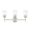 Home Decorators Collection Ayelen 22 in. 3-Light Brushed Nickel Modern Bathroom Vanity Light -Flora Home Decorators Soldes brushed nickel with clear glass home decorators collection vanity lighting 39109 hbu 64 1000