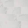 Home Decorators Collection Carrara 12 in. x 24 in. Polished Porcelain Floor and Wall Tile (2 sq. ft./Each)
