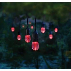 Home Decorators Collection 12-Light 24 ft. Integrated LED String Light with Color Changing Bulbs -Flora Home Decorators Soldes clear bulb with black cable home decorators collection string lights tw01l003wrgb12 40 1000