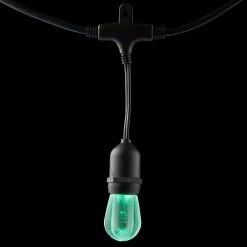 Home Decorators Collection 12-Light 24 ft. Integrated LED String Light with Color Changing Bulbs -Flora Home Decorators Soldes clear bulb with black cable home decorators collection string lights tw01l003wrgb12 4f 1000