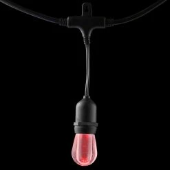 Home Decorators Collection 12-Light 24 ft. Integrated LED String Light with Color Changing Bulbs -Flora Home Decorators Soldes clear bulb with black cable home decorators collection string lights tw01l003wrgb12 77 1000