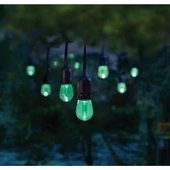 Home Decorators Collection 12-Light 24 ft. Integrated LED String Light with Color Changing Bulbs -Flora Home Decorators Soldes clear bulb with black cable home decorators collection string lights tw01l003wrgb12 d4 1000