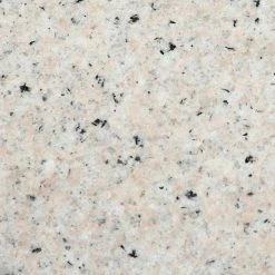 Home Decorators Collection Newport 31 in. W x 21.50 in. D Bath Vanity in Ivory with Granite Vanity Top in Champagne with White Sink -Flora Home Decorators Soldes home decorators collection bathroom vanities with tops 9085 vs31l dw a0 1000