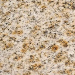 Home Decorators Collection Terryn 31 in. W x 35 in. H x 20 in. D Vanity in Cherry with Granite Vanity Top in Beige with White Basin -Flora Home Decorators Soldes home decorators collection bathroom vanities with tops md v1218 44 1000