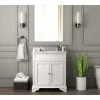 Home Decorators Collection Terryn 31 in. W x 20 in. D x 35 in. H Vanity in White with Engineered White Marble Top and White Sink -Flora Home Decorators Soldes home decorators collection bathroom vanities with tops tj tnv3120wh 64 1000