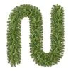 Home Decorators Collection 9 ft Prelit Twinkly Swiss Mountain Garland -Flora Home Decorators Soldes home decorators collection christmas garland 22pg70053 64 1000