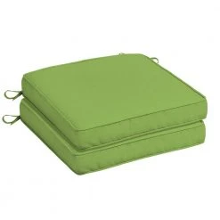 Home Decorators Collection Oak Cliff 20 x 20 Sunbrella Canvas Gingko Outdoor Chair Cushion (2-Pack)