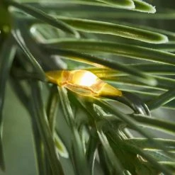 Home Decorators Collection 7.5 ft Merridale Balsam Fir LED Christmas Tree -Flora Home Decorators Soldes home decorators collection pre lit christmas trees 21wl10117 1d 1000