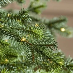 Home Decorators Collection 7.5 ft Elegant Grand Fir Christmas Tree -Flora Home Decorators Soldes home decorators collection pre lit christmas trees 22wl10098 40 1000