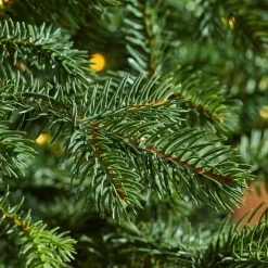 Home Decorators Collection 7.5 ft Elegant Grand Fir Christmas Tree -Flora Home Decorators Soldes home decorators collection pre lit christmas trees 22wl10098 a0 1000