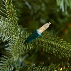 Home Decorators Collection 7.5 ft. Brookside Fraser Fir LED Pre-Lit Artificial Christmas Tree with 900 Color Changing M5 Lights and Memory Wire -Flora Home Decorators Soldes home decorators collection pre lit christmas trees 22wl10110 1d 1000