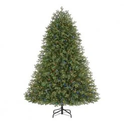 Home Decorators Collection 7.5 ft. Brookside Fraser Fir LED Pre-Lit Artificial Christmas Tree with 900 Color Changing M5 Lights and Memory Wire -Flora Home Decorators Soldes home decorators collection pre lit christmas trees 22wl10110 40 1000