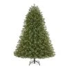 Home Decorators Collection 7.5 ft. Brookside Fraser Fir LED Pre-Lit Artificial Christmas Tree with 900 Color Changing M5 Lights and Memory Wire