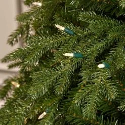 Home Decorators Collection 7.5 ft. Brookside Fraser Fir LED Pre-Lit Artificial Christmas Tree with 900 Color Changing M5 Lights and Memory Wire -Flora Home Decorators Soldes home decorators collection pre lit christmas trees 22wl10110 a0 1000