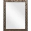 Home Decorators Collection 21.5 in. x 27 in. Brown Classic Rectangle Frame Vanity Mirror