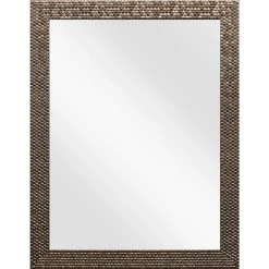 Home Decorators Collection 21.5 in. x 27 in. Brown Classic Rectangle Frame Vanity Mirror