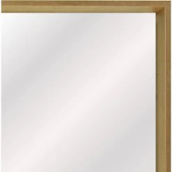 Home Decorators Collection 19.4 in. x 25.4 in. Gold Classic Rectangle PS Framed Vanity Mirror -Flora Home Decorators Soldes home decorators collection wall mirrors 299 l3111 77 1000