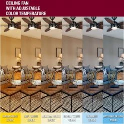 Home Decorators Collection Daniel Island 52 in. White Color Changing Integrated LED Outdoor Matte Black Ceiling Fan with Light Kit and Remote -Flora Home Decorators Soldes matte black home decorators collection ceiling fans with lights 52179 d4 1000