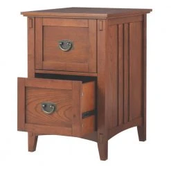 Home Decorators Collection Artisan Medium Oak 2 Drawer File Cabinet -Flora Home Decorators Soldes medium oak home decorators collection file cabinets 9223900550 e1 1000