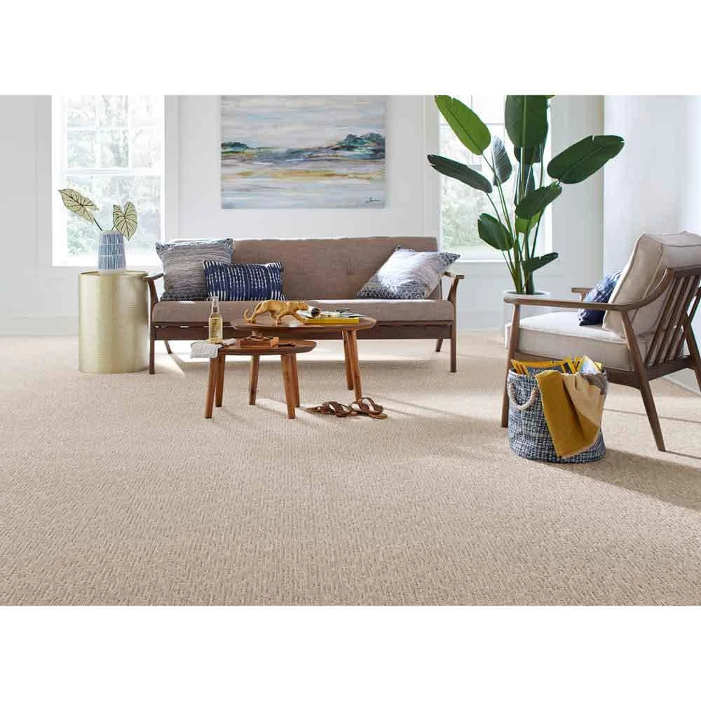 Home Decorators Collection Lanning - Color Stardust Indoor Pattern Carpet 4 Home Decorators Collection Lanning - Color Stardust Indoor Pattern Carpet - Image 2