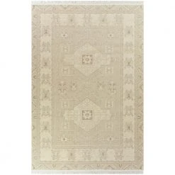Home Decorators Collection Decklyn Taupe 5 ft. x 7 ft. Oriental Fringe Area Rug