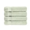 Home Decorators Collection Egyptian Cotton Watercress Green Bath Sheet (Set of 4)