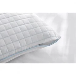 Home Decorators Collection Extreme Cool Waterproof King Pillow Protector -Flora Home Decorators Soldes whites home decorators collection pillow protectors 15618 e1 1000